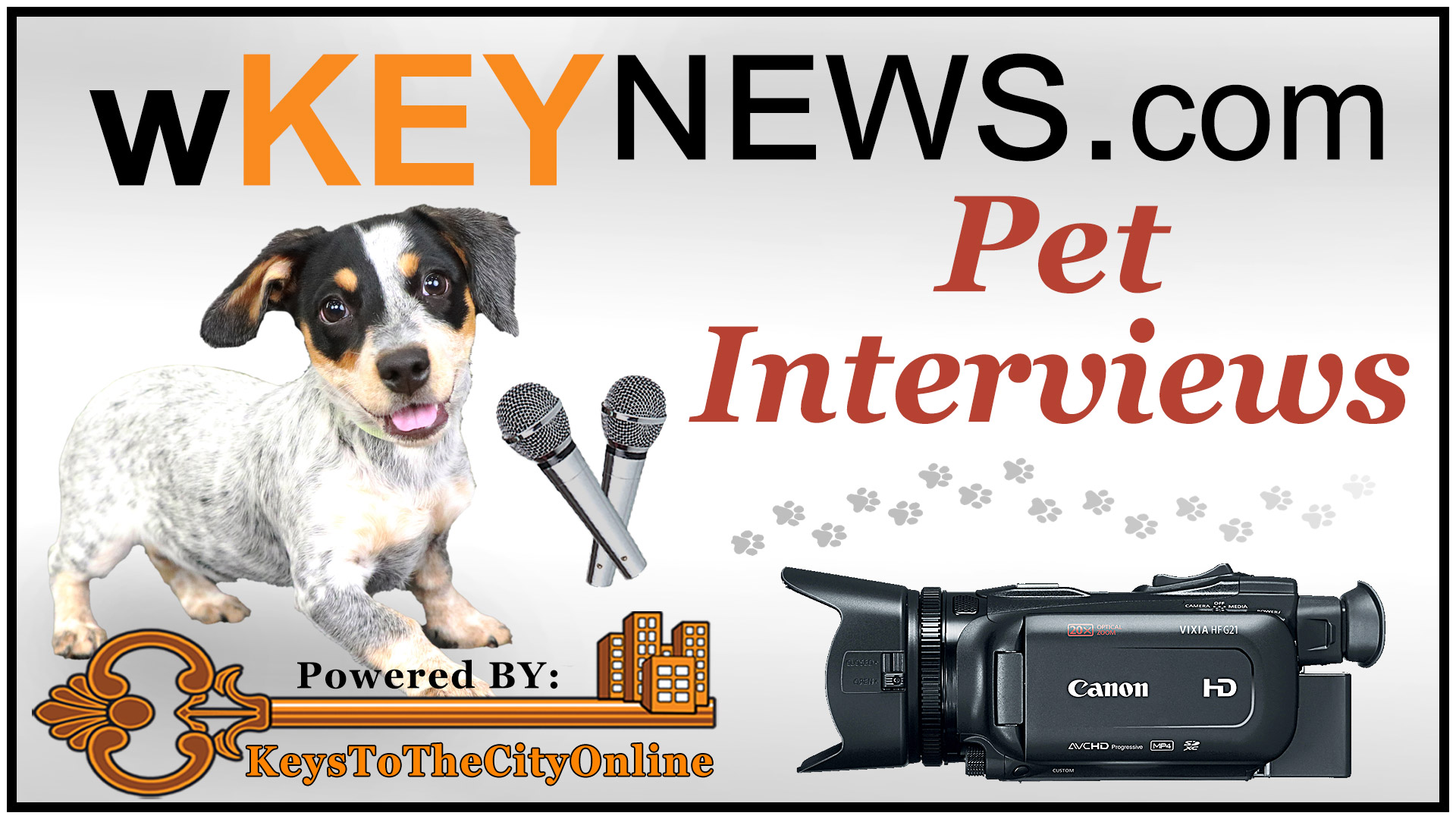 Pet interviews, Edgewater Animal Shelter, Humane Society, dog interviews